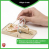 Piège à rats plastique 2 pièces  - PROTECT EXPERT - SBM-RATRAP2