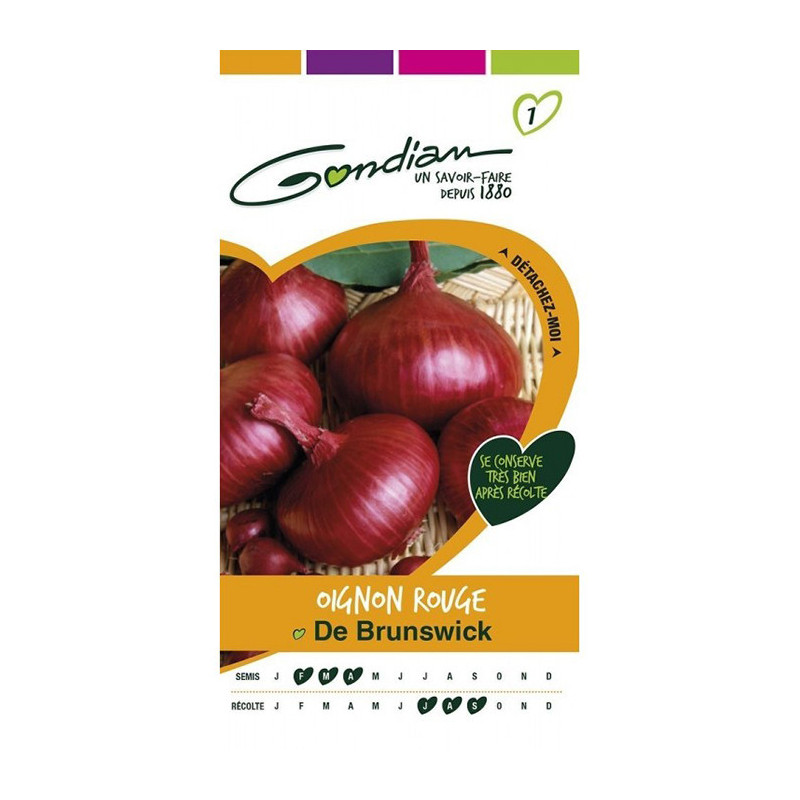 Oignon Rouge de Brunswick - GONDIAN - GON-153530