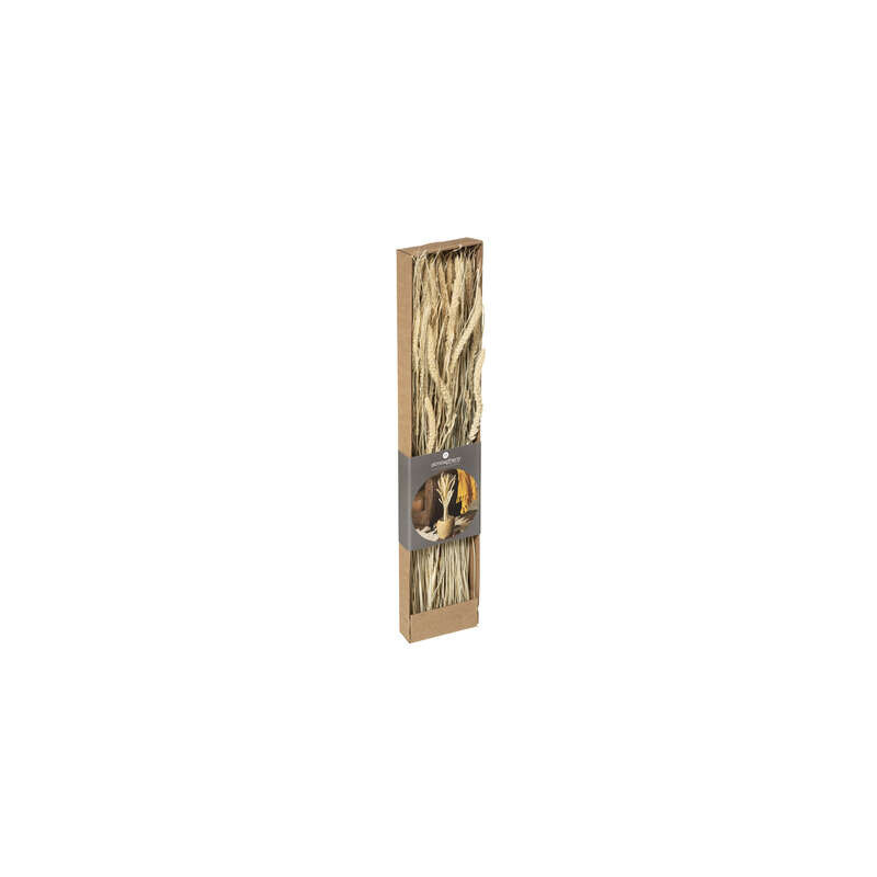 BOUQUET SECHE NATUREL DISPLAY H60
