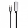 Convertisseur USB-C Mâle vers HDMI Femelle - RADIOLA - FO1023