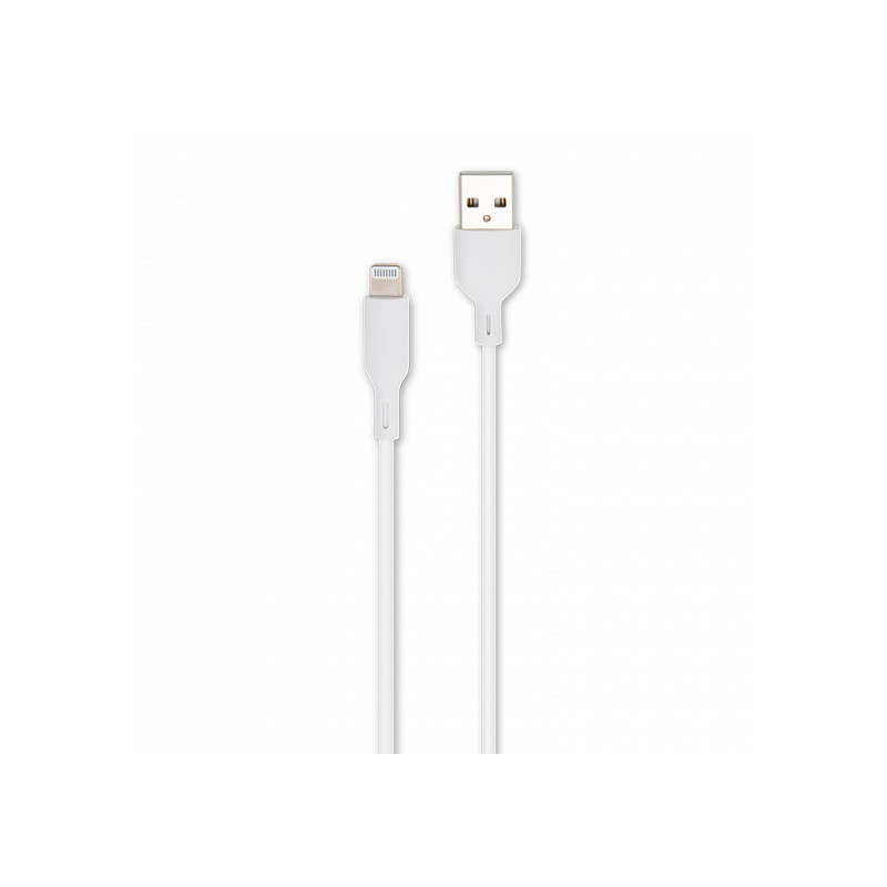 Câble USB vers Lightning MFI 2m Blanc - RADIOLA - FO1007