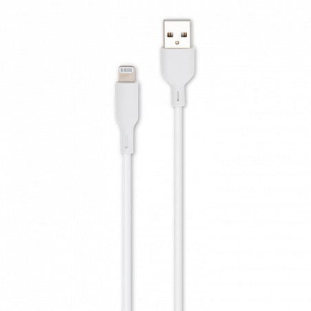 Câble USB vers Lightning MFI 2m Blanc - RADIOLA - FO1007