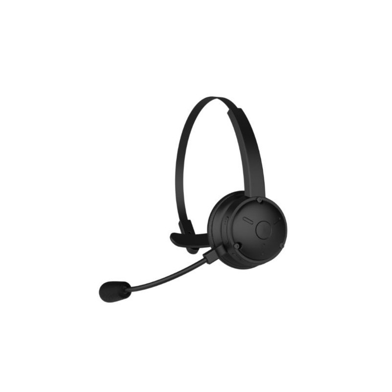 Casque audio Télétravail Bluetooth Anti-Bruit Noir - BLAUPUNKT - BLP4901-133
