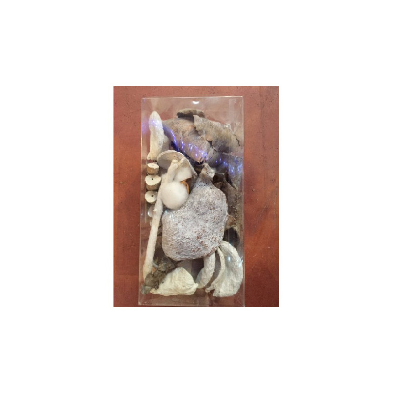 Pot Pourri de Noël 200gr - FÉÉRIC LIGHTS & CHRISTMAS - 162827