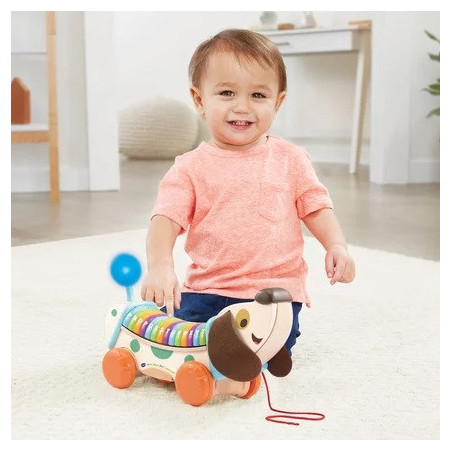 Mon chien ABC Interactif VTECH - Dès 12 mois