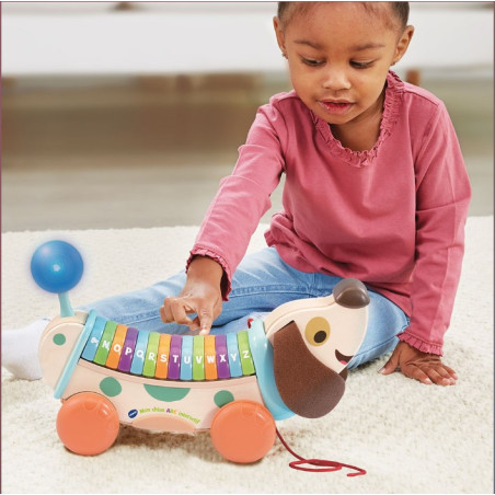 Mon chien ABC Interactif VTECH - Dès 12 mois