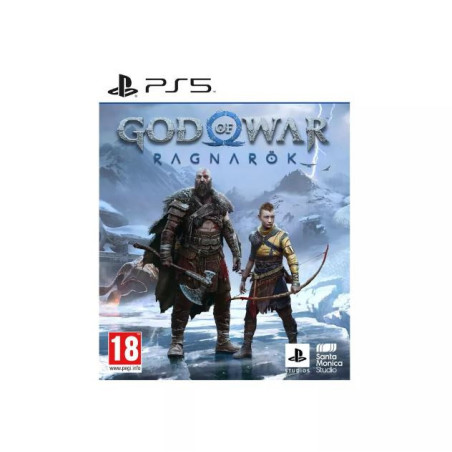 Jeu PS5 God of War Ragnarok - ELECTRONIC ARTS - 78760020889