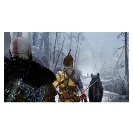 Jeu PS5 God of War Ragnarok - ELECTRONIC ARTS - 78760020889