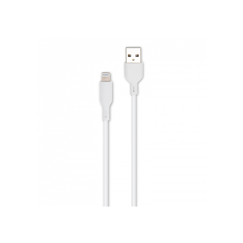 Câble USB vers Lightning MFI 1m Blanc - RADIOLA - FO1006