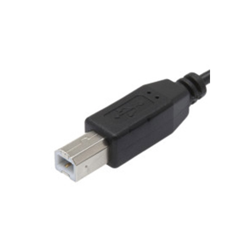 Câble USB 2.0 USB A/USB B Mâle/Mâle 1.8m Noir - APM - 570300
