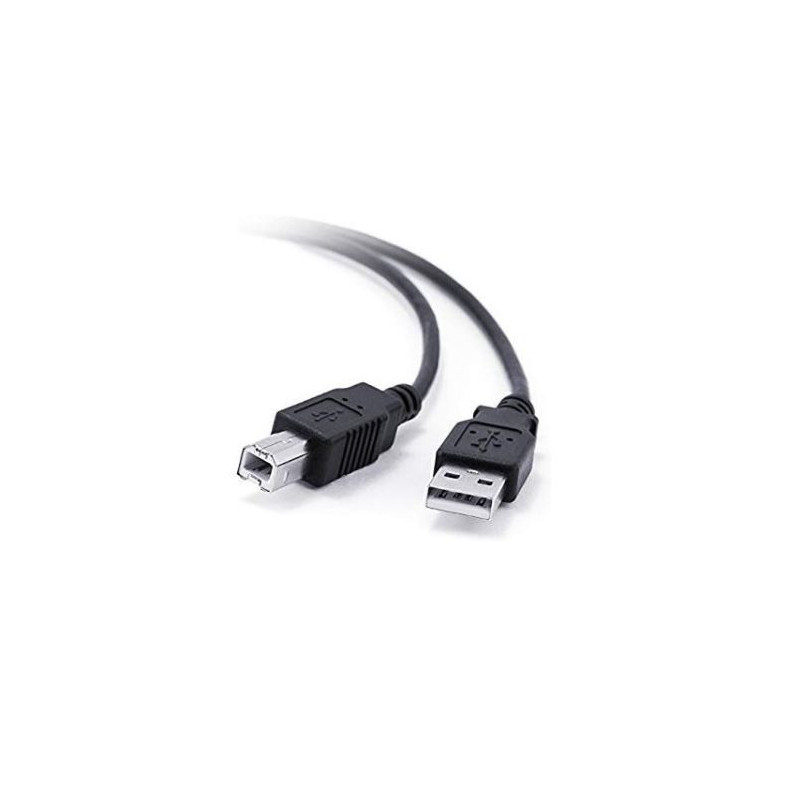 Câble USB 2.0 Type-A vers Type-B 5m Noir - APM - 570302