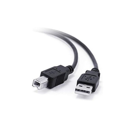 Câble USB 2.0 Type-A vers Type-B 1,8m Noir - APM - 570303