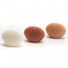 Bougie Parfumée Coquillage Nude - AMADEUS