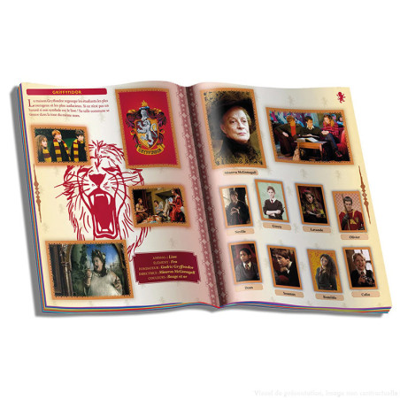 Album Guide des 4 Maisons Harry Potter - PANINI - 78330020172