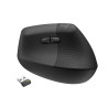 Souris sans fil Ergo Series Lift Graphite - LOGITECH - SOU_LOG_LIFT_VRT_G