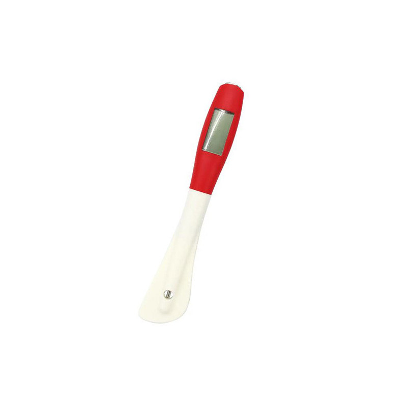 Spatule thermomètre silicone 25 cm - ZODIO - 10175793