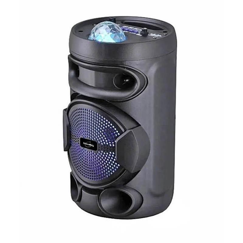 Enceinte lumineuse Bluetooth 400W Fonction Karaoké Noir