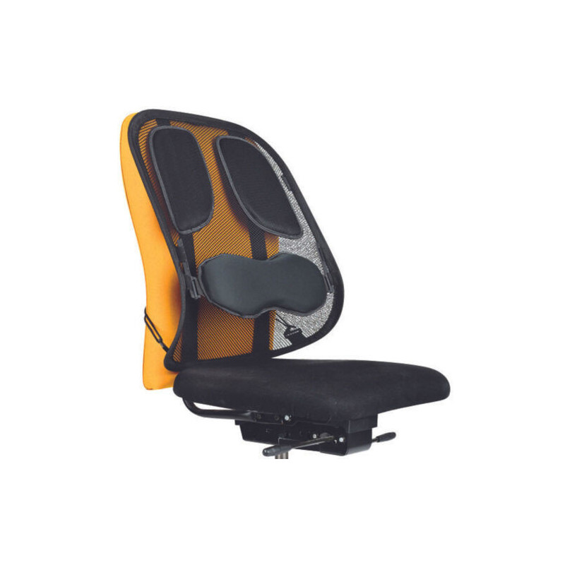 Support Dorsal Professional Series Noir - FELLOWES - 8029901