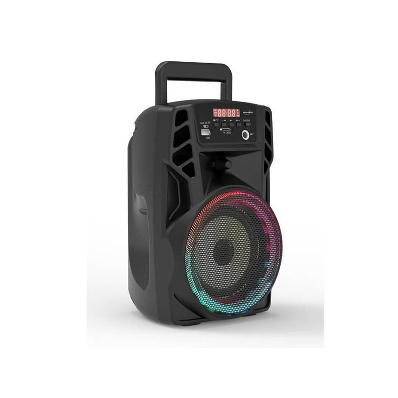 Enceinte Lumineuse Karaoké Bluetooth 20W Noir - INOVALLEY - INKA01