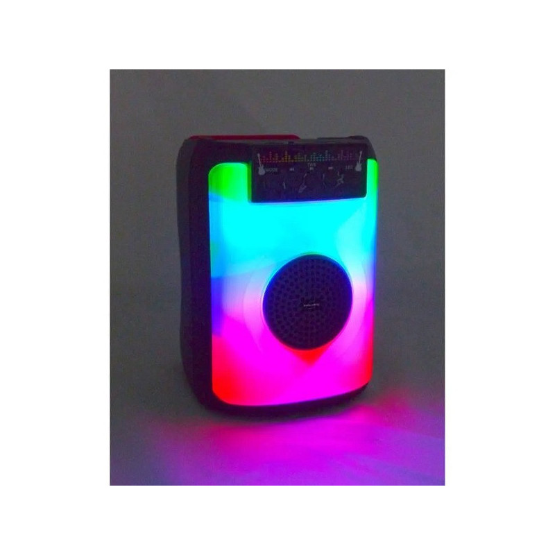 Enceinte Karaoké Bluetooth V5.0 40W Noir - INOVALLEY - INFIRE01