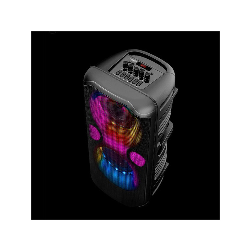 Enceinte sono autonome 300W - PICKERING - ELEGANCE150