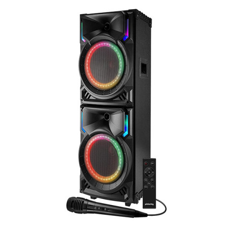 Enceinte audio Active High Power 500W Noir - PICKERING - SOUNDMAGIC500