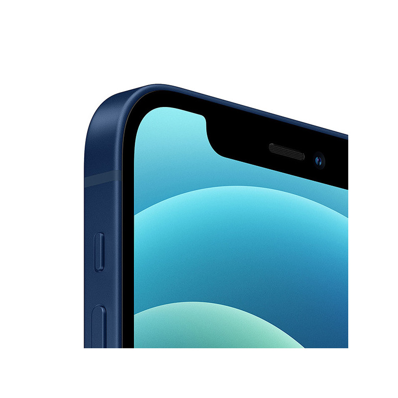 iPhone 12 Reconditionné 64Go Grade A+ Bleu - APPLE - LARIPH1264BLUEA+