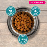 Croquettes Chien Adulte Petite Taille Poulet 18 kg - EUKANUBA