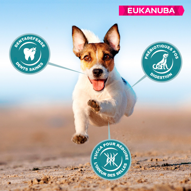 Croquettes Chien Adulte Petite Taille Poulet 18 kg - EUKANUBA