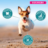 Croquettes Chien Adulte Petite Taille Poulet 18 kg - EUKANUBA