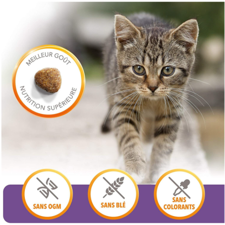 Croquettes Chaton Vitality Poulet 1,5 kg - IAMS