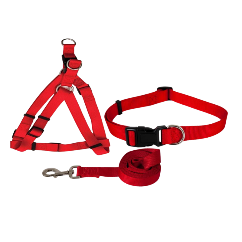 Ensemble laisse, harnais et collier pour chien 80cm - INA-36029