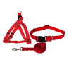 Ensemble laisse, harnais et collier pour chien 80cm - INA-36029