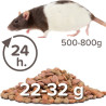 Alimentation Care+ pour Rat 1.5kg - BEAPHAR 