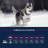Croquette entretien au poulet pour chien adulte moyenne race 3kg - EUKANUBA - EPMAA786