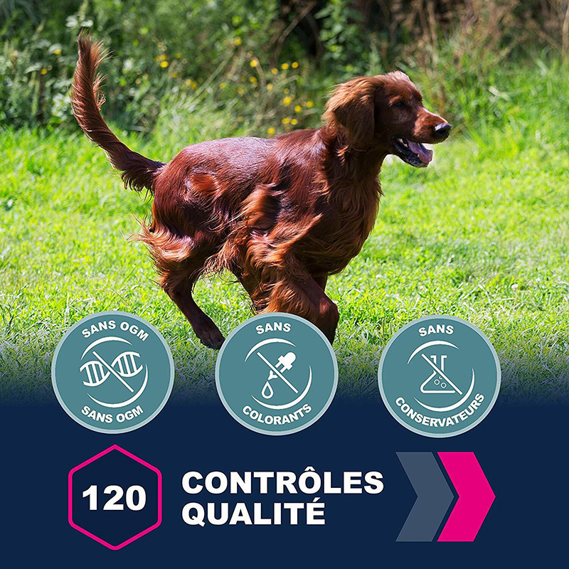 Croquette entretien au poulet pour chien adulte moyenne race 3kg - EUKANUBA - EPMAA786
