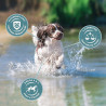 Croquette entretien au poulet pour chien adulte moyenne race 3kg - EUKANUBA - EPMAA786