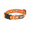 Collier Chien L 25mm (Mix 8 Motifs) - COLORADO PET