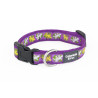 Collier Chien L 25mm (Mix 8 Motifs) - COLORADO PET