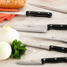 Couteau à desosser Artisan Inox/Noir - RICHARDSON SHEFFIELD - AME004506