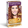 Coloration cheveux permanente Color et éclat 21 Blond clair cuivré - EUGENE PERMA - 14B00004027