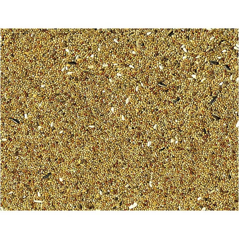 Mélange de graines pour grandes perruches Basic 20kg - VADIGRAN - VAD-393