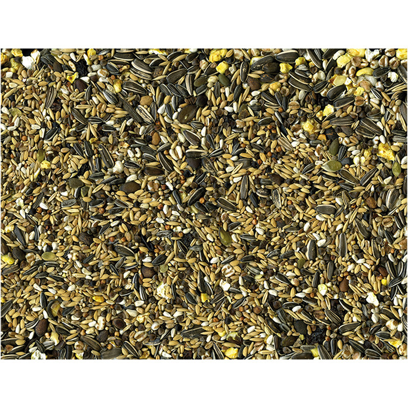Mélange de graines pour Perroquet Condition 15kg - VADIGRAN - VAD-423