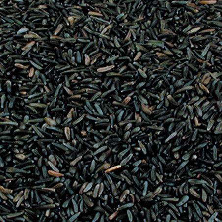 Graine de Niger 17,5kg - VADIGRAN - VAD-213200