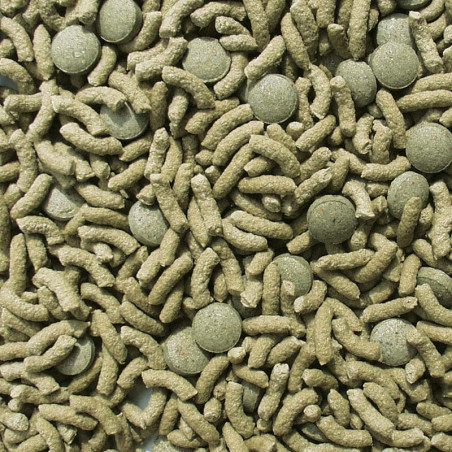 Aliment principal Raffy Vital Nature 10L 1,7kg - SERA - SER-1837