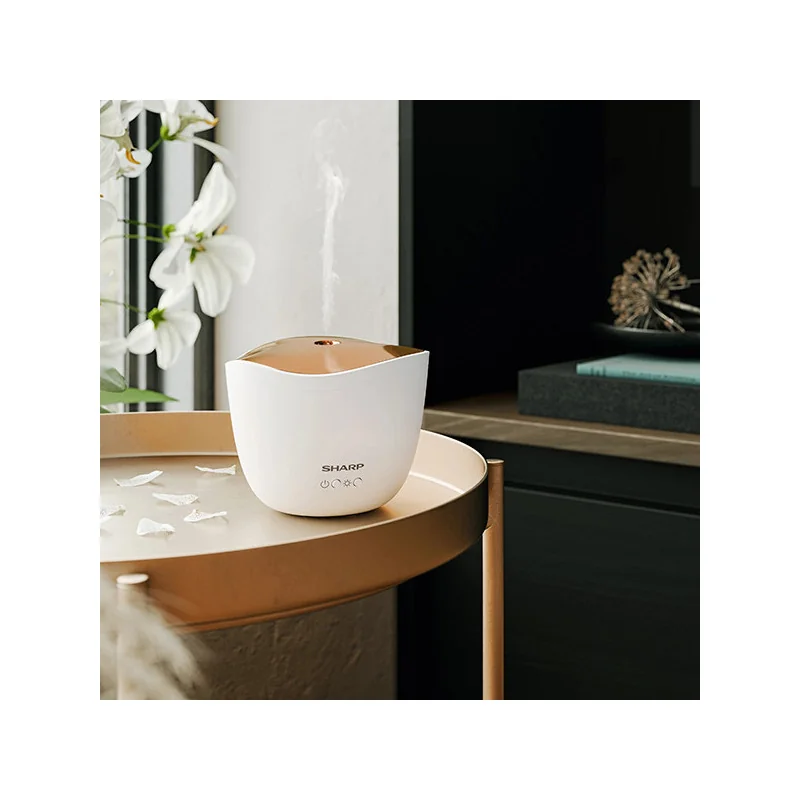 Diffuseur Ultrasons Anti-micro/enregistrement/Ecoute Direct