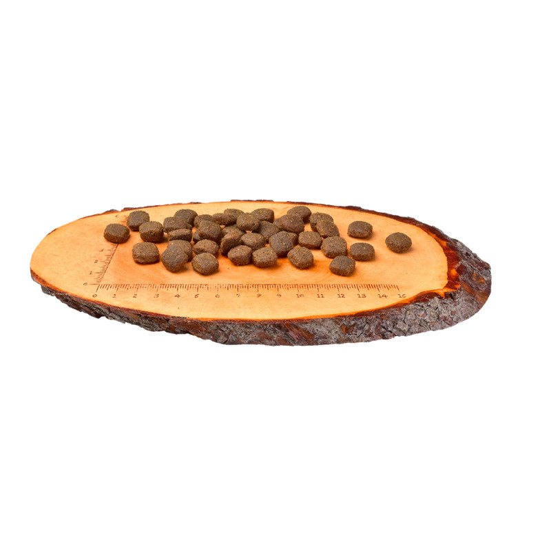 Croquettes pour chien adulte au saumon 12kg - CARNILOVE 