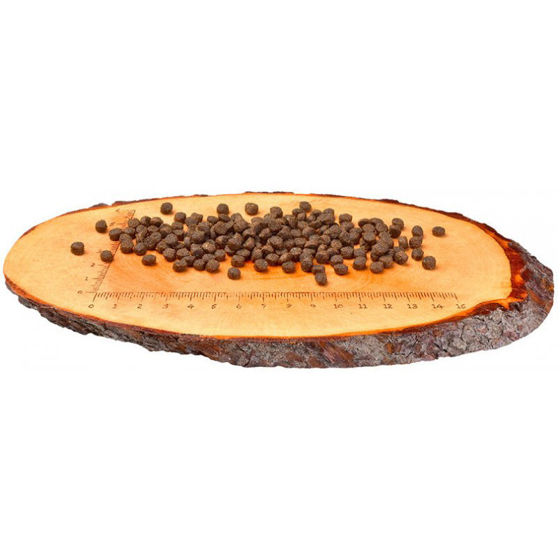 Croquettes pour chaton au saumon & dinde 2kg - CARNILOVE 