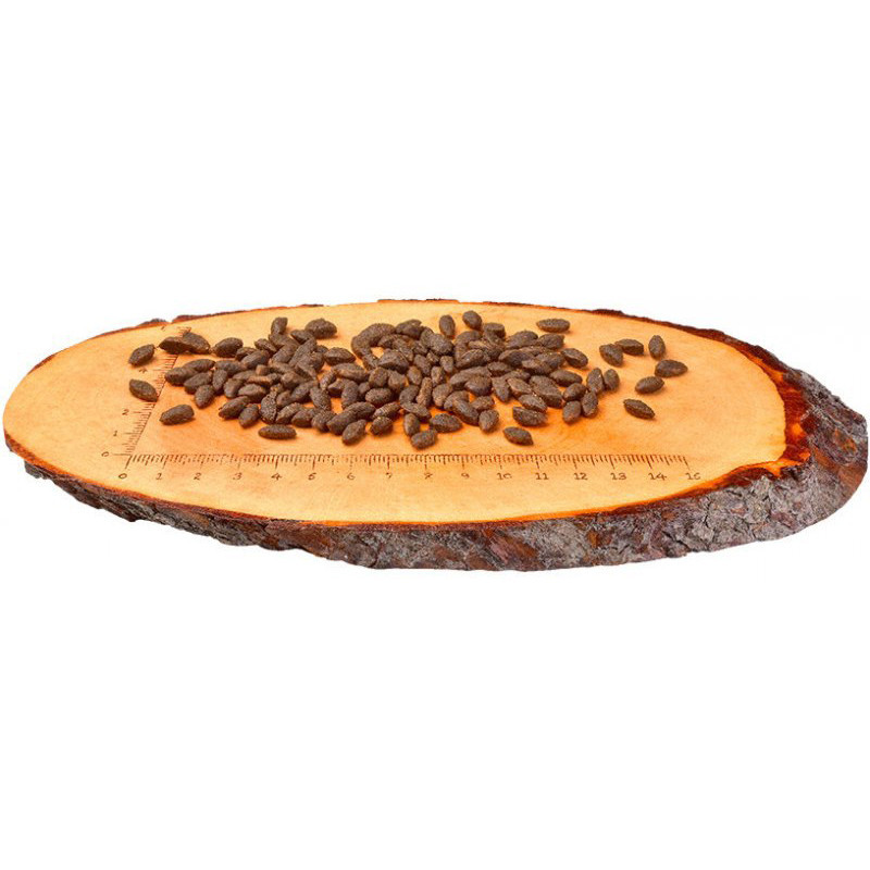 Croquettes pour chat adulte Sensitive Long Hair au saumon 6kg - CARNILOVE 