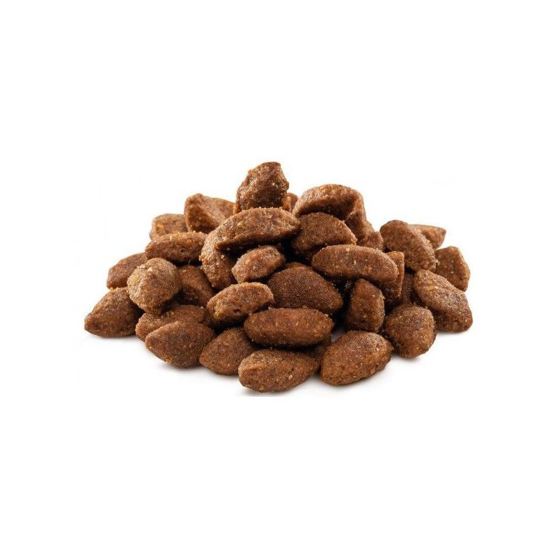 Croquettes pour chien de sport adulte Premium by Nature au poulet 15kg - BRIT - B30